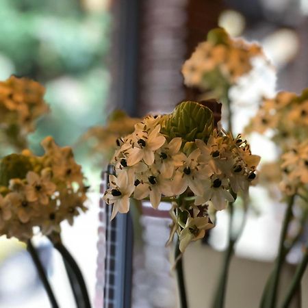 Sunshine B&B Jiufen Dış mekan fotoğraf